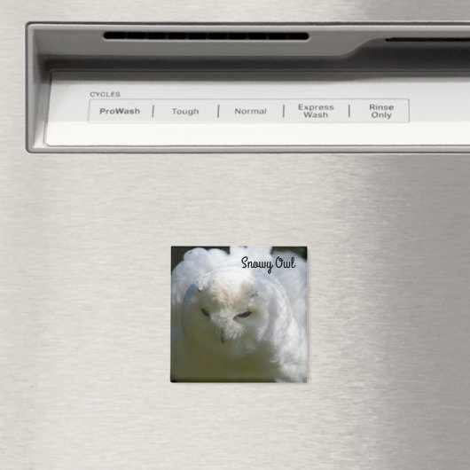 スノーフクロウ マグネット (インサイチュ (食洗機))