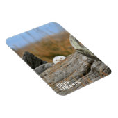 スノーフクロウ マグネット (右側)