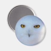 スノーフクロウ マグネット (正面/裏面)