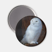 スノーフクロウ マグネット (正面/裏面)