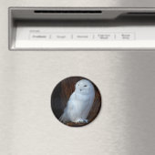 スノーフクロウ マグネット (インサイチュ (食洗機))