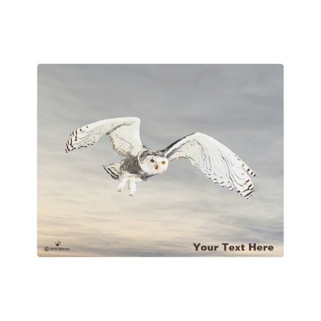 スノーフクロウ メタルプリント (正面)