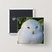 スノーフクロウ 缶バッジ (正面&裏面)