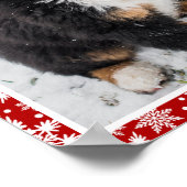 スノーフレークにベルネーズマウンテン赤と白ドッグ ポスター (角)