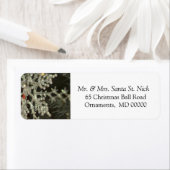 スノーフレークカスタムハッピークリスマス差出人住所 ラベル (インサイチュ)