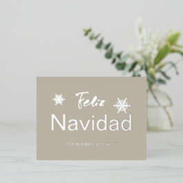 スノーフレークシンプルフェリズナビダードシルバー 箔シーズンポストカード