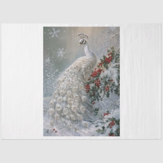 スノーフレークピーコック 薄葉紙 (正面)