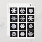 スノーフレークプレート天気撮影 ポストカード (正面/裏面)