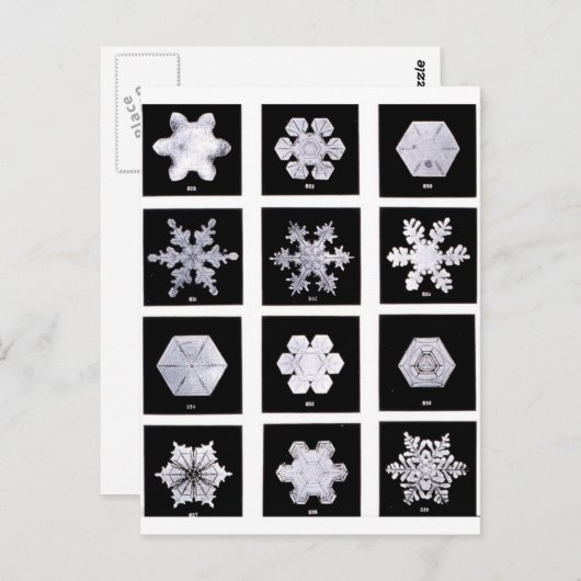 スノーフレークプレート天気撮影 ポストカード (正面/裏面)