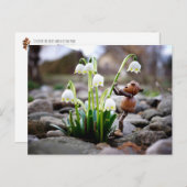 スノーフレーク小妖精や小人付きアコーン春はがき ポストカード (正面/裏面)