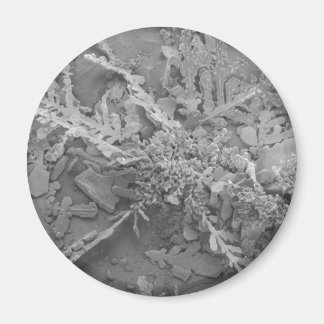 スノーフレーク1 マグネット