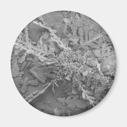 スノーフレーク1 マグネット (正面)