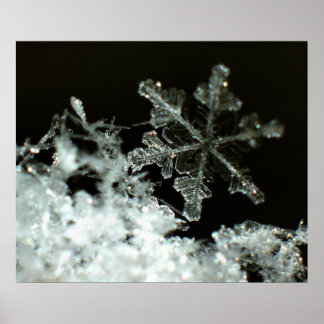 スノーフレーク2009ブリザード ポスター