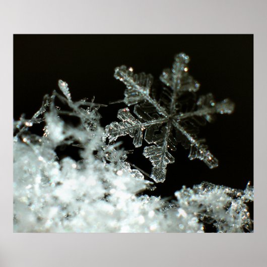 スノーフレーク2009ブリザード ポスター (正面)
