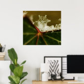 スノーフレーク2009ブリザード ポスター (ホームオフィス)