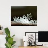 スノーフレーク2009ブリザード ポスター (ホームオフィス)