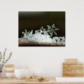 スノーフレーク2009ブリザード ポスター (キッチン)