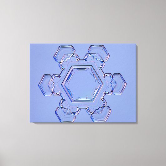 スノーフレーク6 キャンバスプリント (正面)