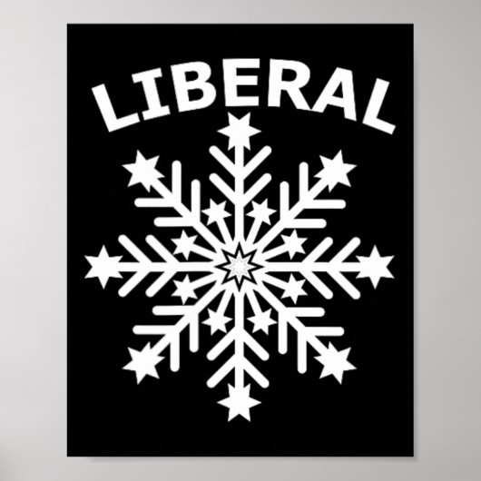 スノーフレーク・フェミニストの多様性の人権の平等 ポスター (正面)