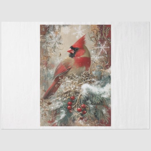 スノーフレーク（鳥）ショウジョウコウカンチョウ 薄葉紙 (正面)