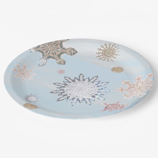 スノーフレー凍っていクウィンターグリーム紙プレート ペーパープレート (アングル)