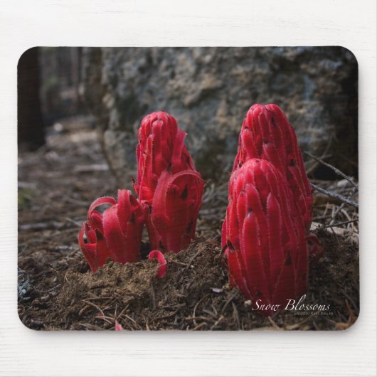 スノーブラムズマウスパッド マウスパッド (正面)