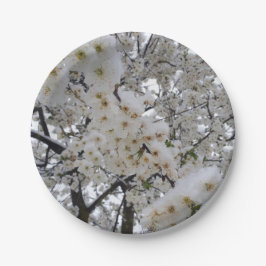 スノーブルームペーパープレート ペーパープレート