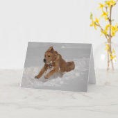 スノープラウ! カード (黄色い花)