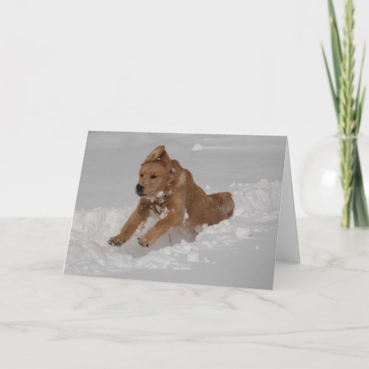 スノープラウ! カード (正面)