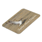 スノープリバーストレッチインペリアルビーチカリフォルニア マグネット (左側)