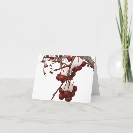 スノーベリーカード シーズンカード (正面)