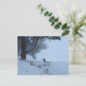 スノーベンチ ポストカード (スタンド正面)