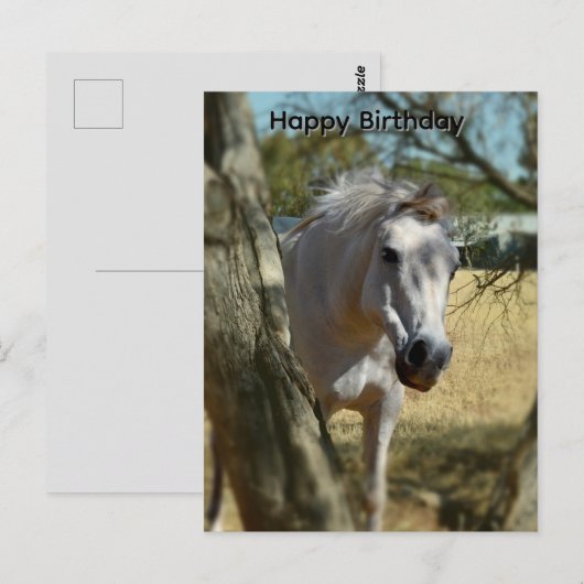 スノーホワイト・ザ・ホース, 誕生日ポストカード ポストカード (正面/裏面)