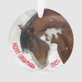 スノーホースクリスマスアクリル オーナメント