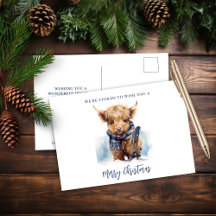 スノーボーディングハイランド牛はがき