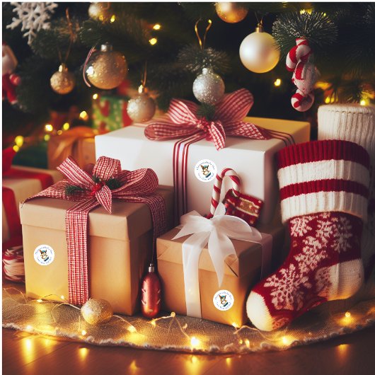 スノーボードおもしろいコルギ ラウンドシール