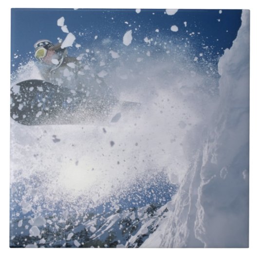 スノーボードアットスノーバードリゾートワサッチ タイル (正面)