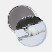 スノーボード・マグネットのおもしろい猫 マグネット (正面/裏面)