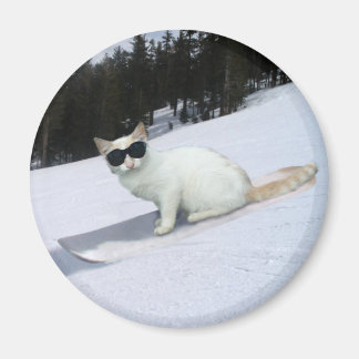 スノーボード・マグネットのおもしろい猫 マグネット