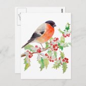 スノーポストカードのホリー枝にブルフィンチ ポストカード (正面/裏面)