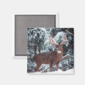 スノーマグネットに鹿が登場 マグネット (正面/裏面)