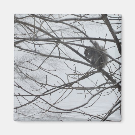 スノーマグネットのリス マグネット (正面)