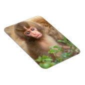 スノーモンキーベビーポートレート マグネット (右側)