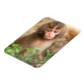 スノーモンキーベビーポートレート マグネット (左側)