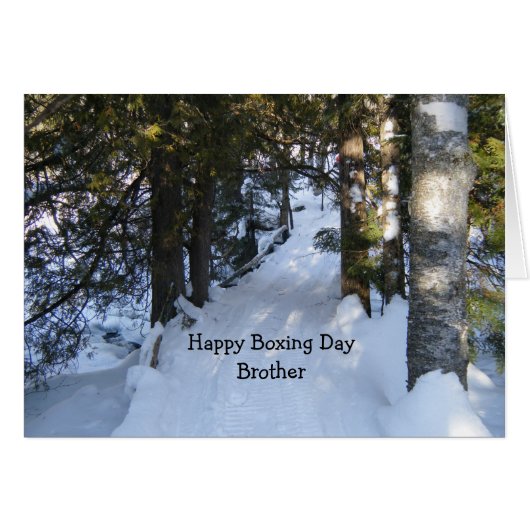 スノーモービルトレイル (正面横)