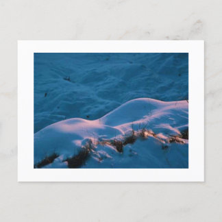 スノーライト ポストカード