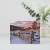 スノーランチ ポストカード (スタンド正面)