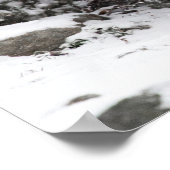 スノーレオパードブラザーズ歩く ポスター (角)