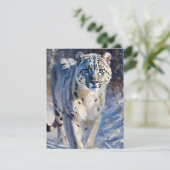 スノーレオパード勉強A -油 シーズンカード (スタンド正面)