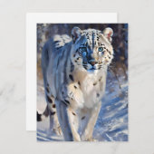 スノーレオパード勉強A -油 シーズンカード (正面/裏面)